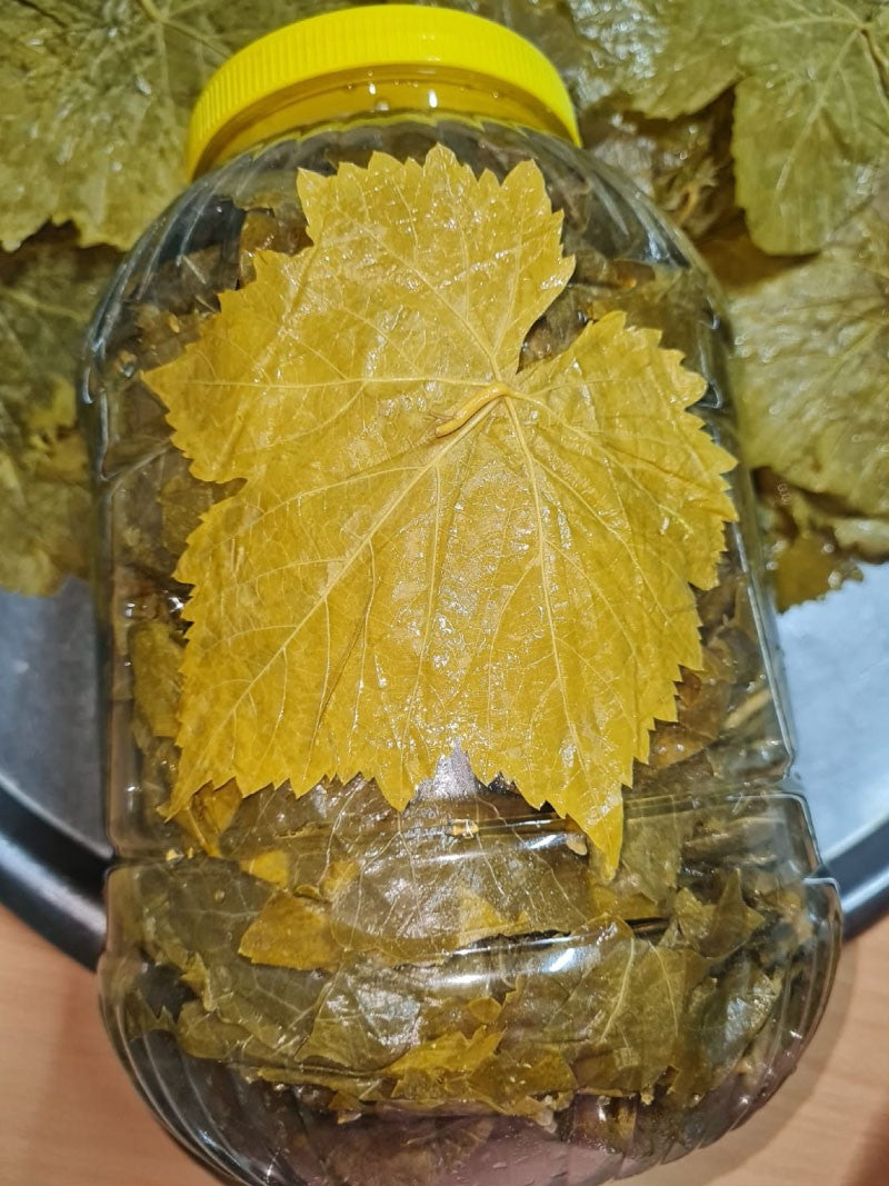 Doğal Salamura Bağ Yaprağı 5 Kg Bidon