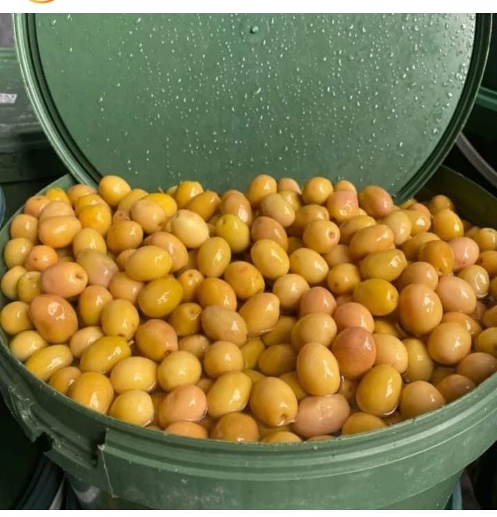 Pembe Çizik Zeytin (iri 230 260 kalibre)