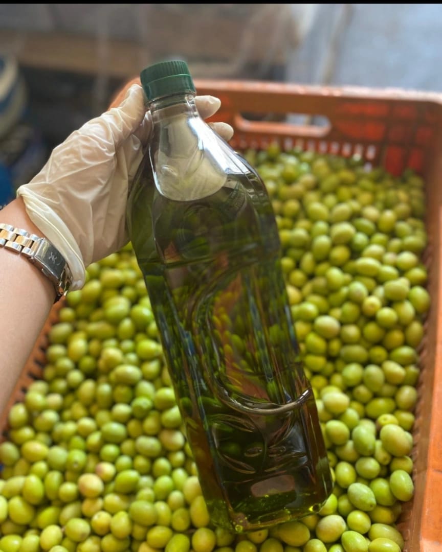 Zeytinyağı Erken Hasat Soğuk Sıkım 5 Litre